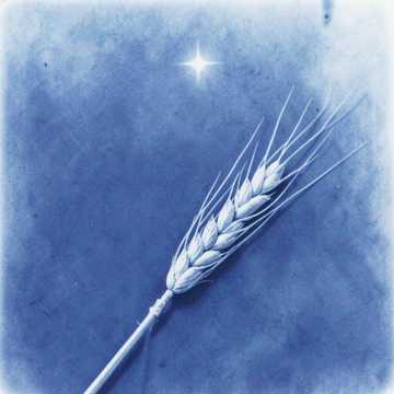 Aaye Naa - AI song generator music